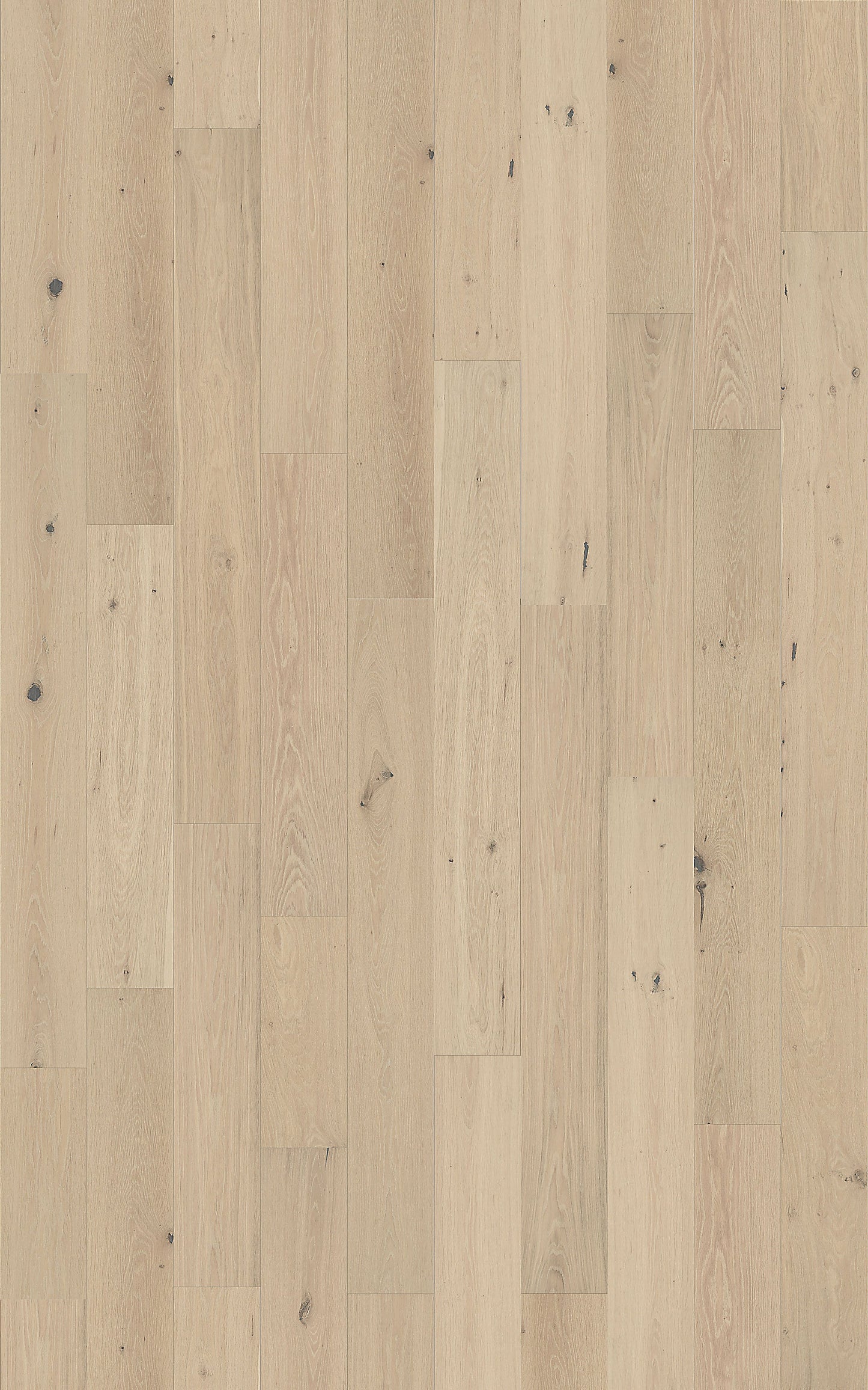 Element Flooring European white oak Gillen hardwood flooring — detail view