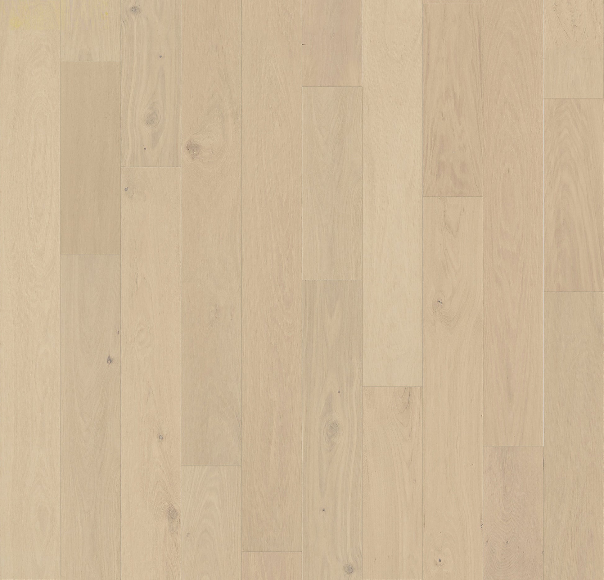 Element Flooring European white oak Moore hardwood flooring — primary plank view