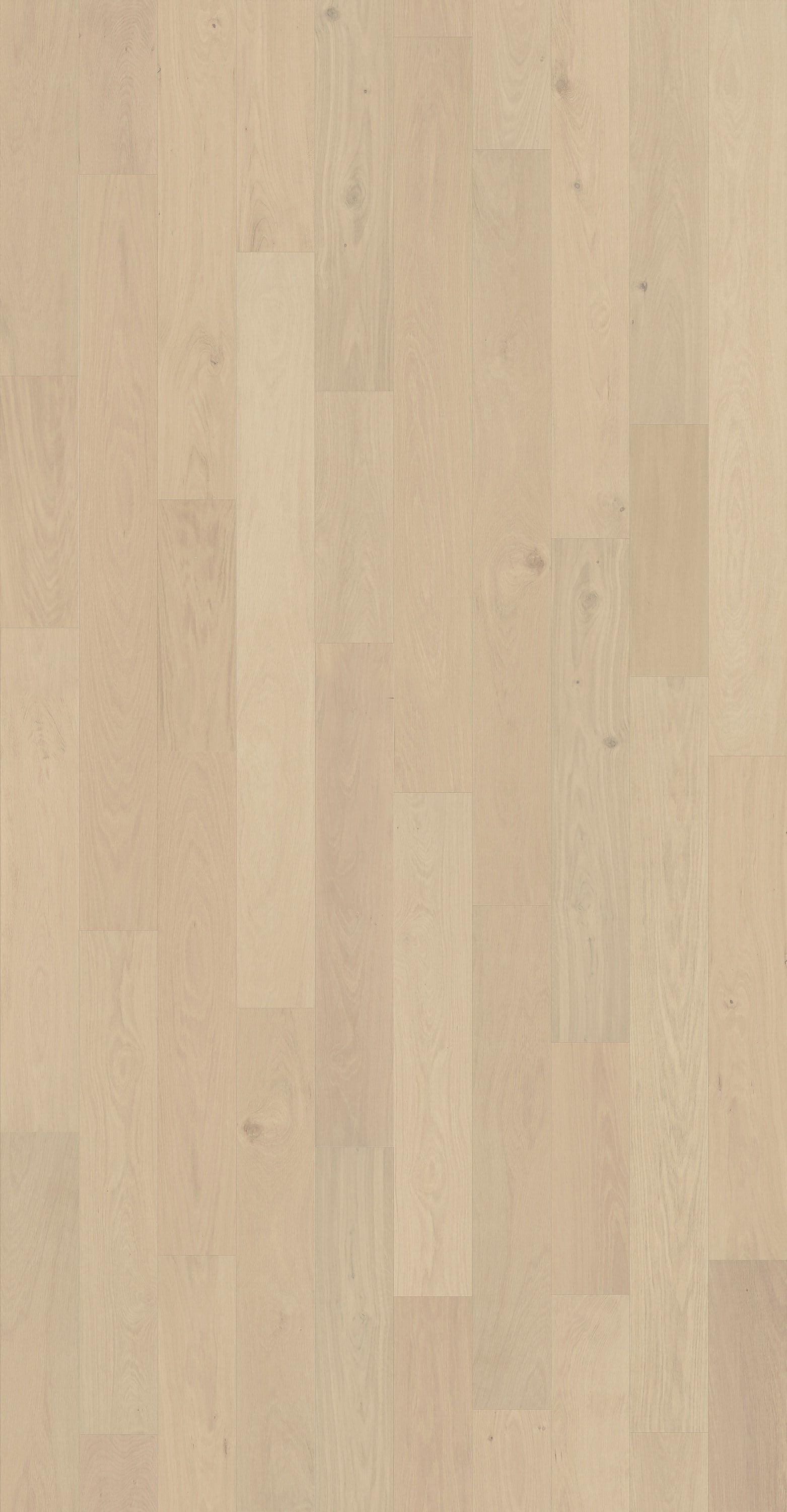 Element Flooring European white oak Moore hardwood flooring — detail view