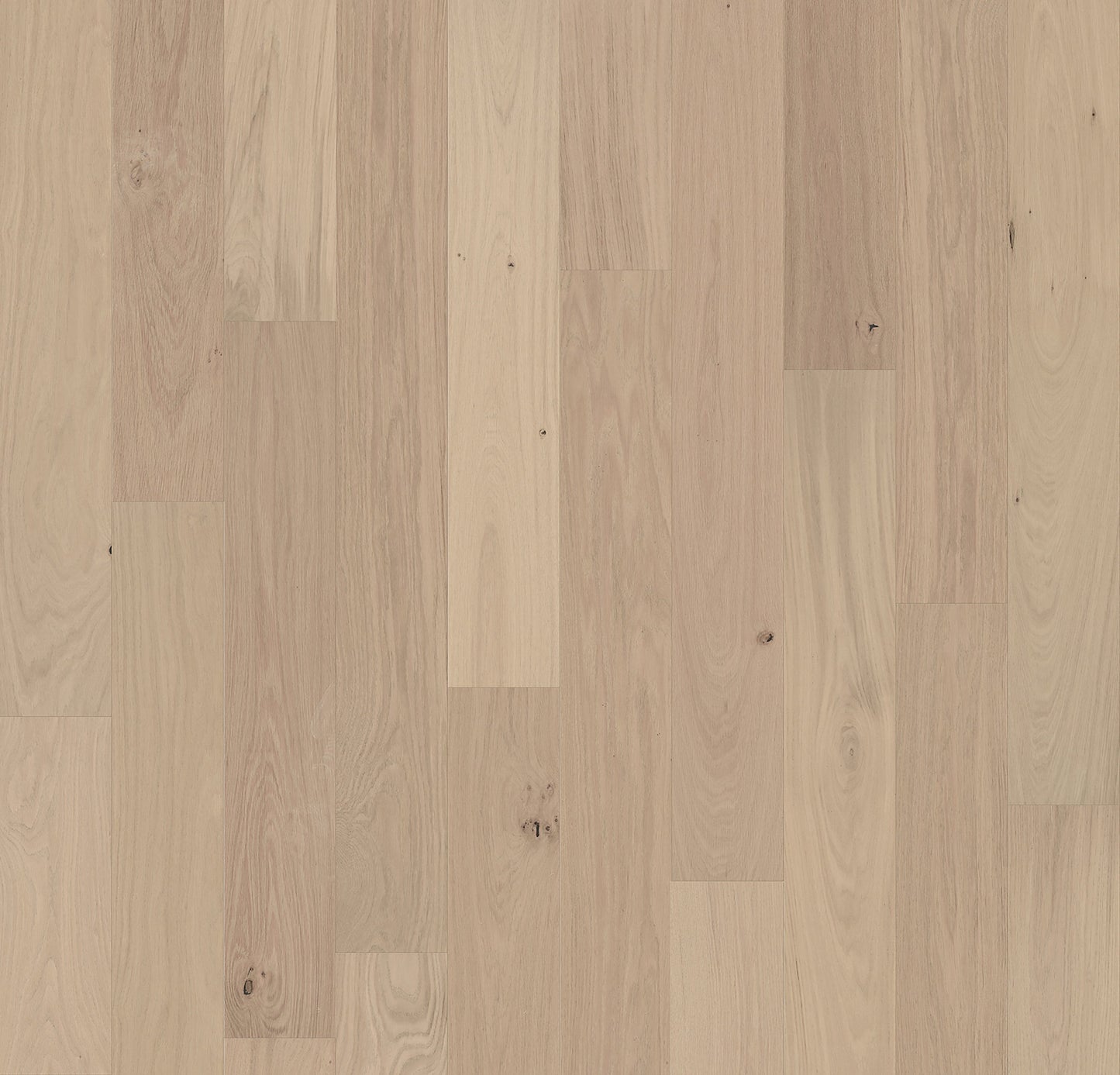 Element Flooring European white oak Clovis hardwood flooring — primary plank view