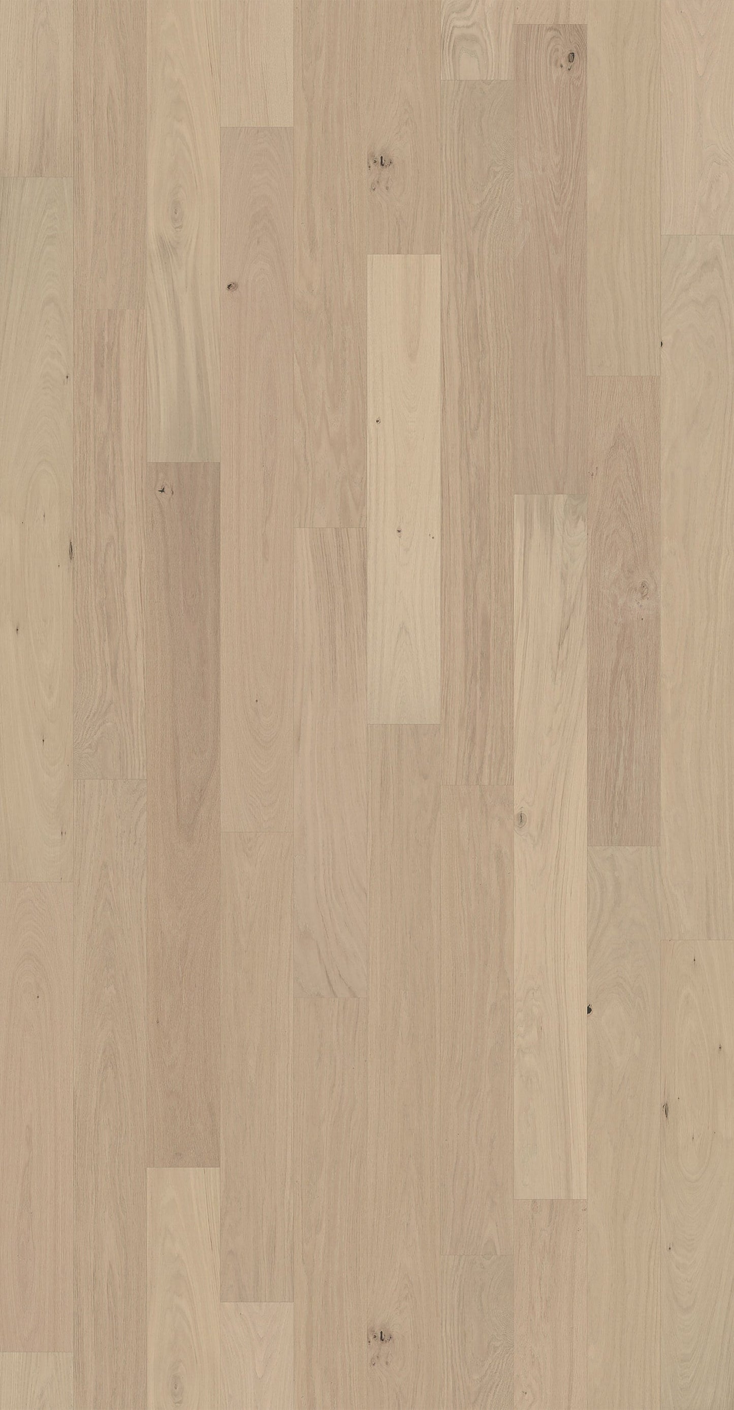Element Flooring European white oak Clovis hardwood flooring — detail view