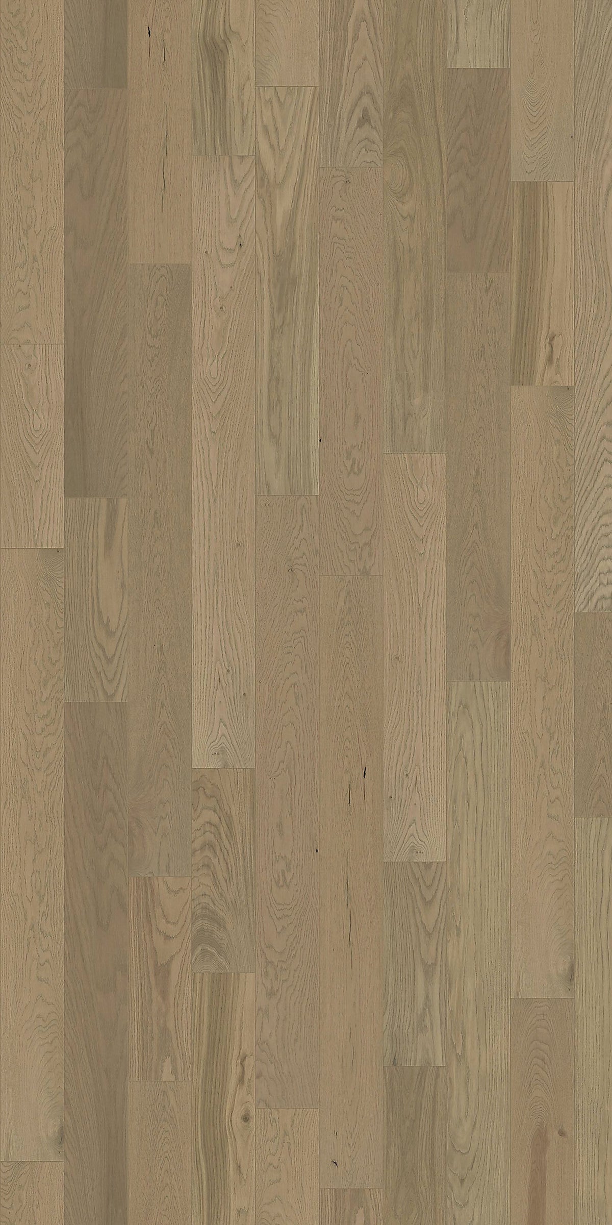 Element Flooring European white oak Gideon hardwood flooring — detail view