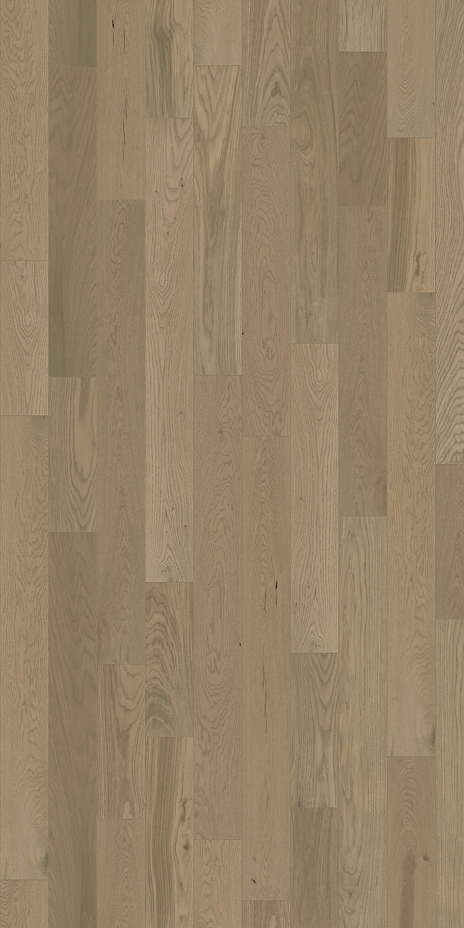 Element Flooring European white oak Gideon hardwood flooring — detail view