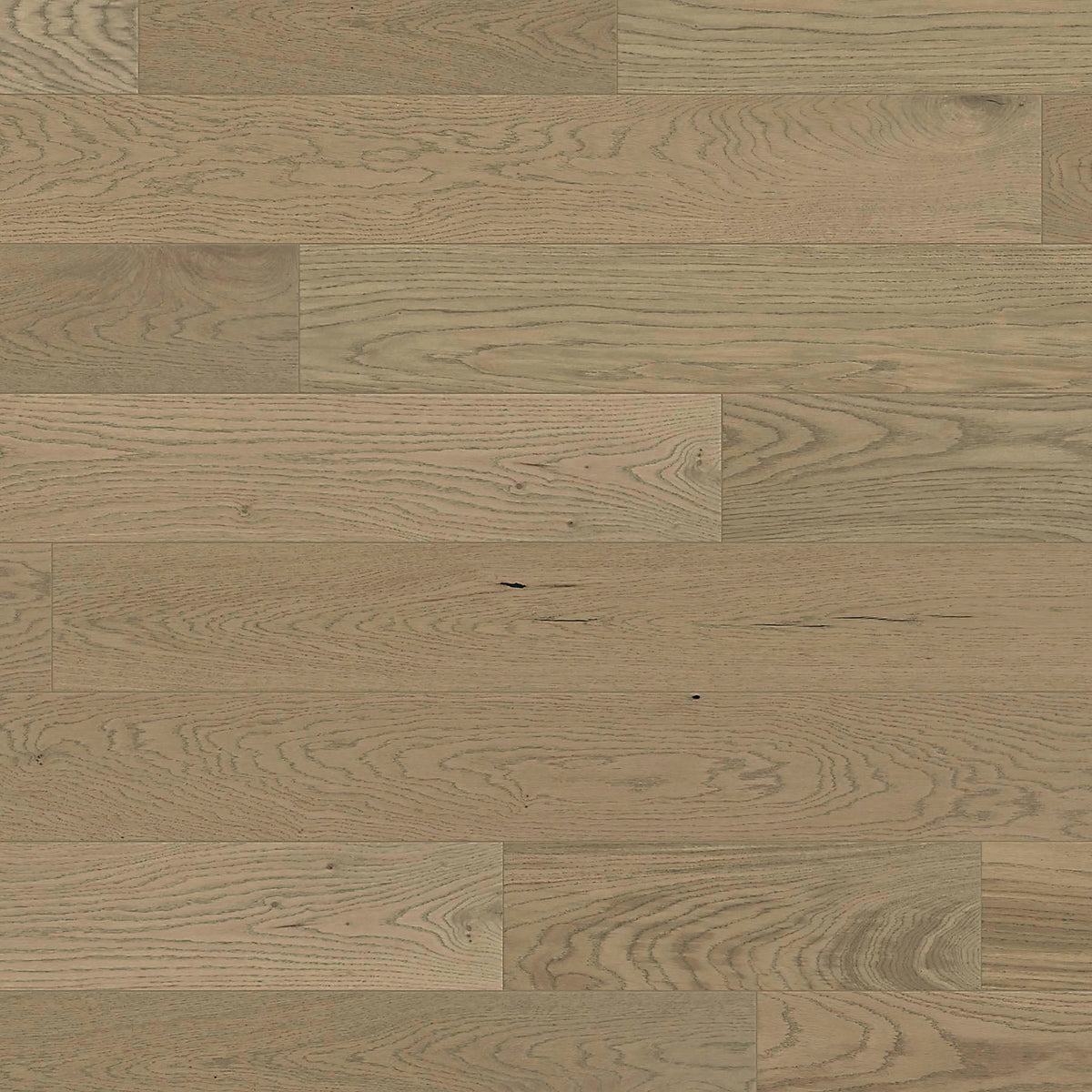 Element Flooring European white oak Gideon hardwood flooring — view 15