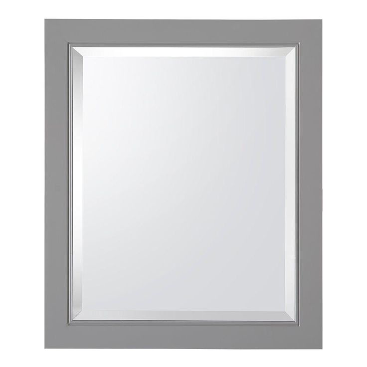 Gazette 22 in. W x 26 in. H x 6-5/8 in. D Framed Surface-Mount Bathroom Medicine Cabinet in Grey