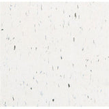 Armstrong Imperial Texture VCT 12 in. x 12 in. Classic White Standard Excelon Commercial Vinyl Tile (45 sq. ft./ case) - Super Arbor