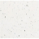 Armstrong Imperial Texture VCT 12 in. x 12 in. Sea Green Standard Excelon Commercial Vinyl Tile (45 sq. ft. / case) - Super Arbor