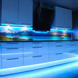20 in. (50 cm) 8-Watt Equivalence Color Ambiance LED USB Light Strip with 24 Keys Wireless Remote (4 Strip Pack) - Super Arbor