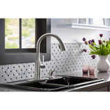 Rubicon Single-Handle Pull-Down Sprayer Kitchen Faucet in Vibrant Stainless - Super Arbor