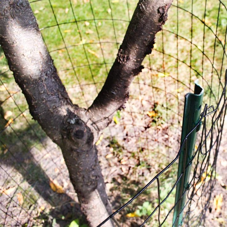 Everbilt 4 ft. x 50 ft. Galvanized Steel Black PVC Coated Welded Wire