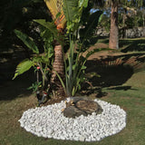 Rain Forest 3 in. to 5 in., 30 lb. Large Egg Rock Caribbean Beach Pebbles