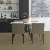STAINMASTER PetProtect Baxter IV Dachshund Textured Carpet (Indoor)