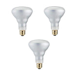 Philips 50-Watt Equivalent Halogen BR30 Dimmable Flood Light Bulb (3-Pack)