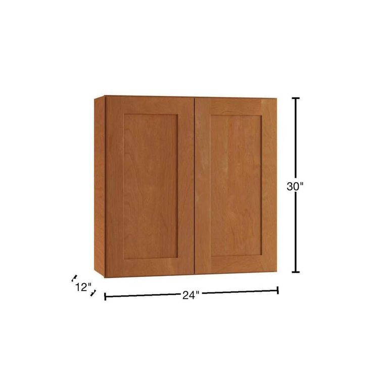 Home Decorators Collection Newport 24 in. W x 12 in. D x 30 in. H Assembled Plywood Wall Kitchen Cabinet in Cinnamon with Soft Close