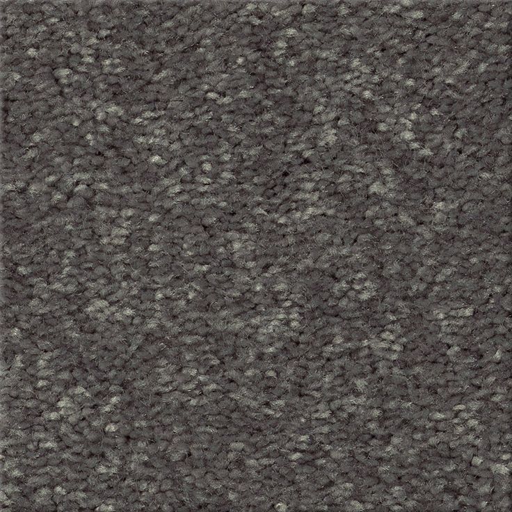 STAINMASTER Essentials Blue Diamonds I 15-ft Iron Textured Carpet (Indoor)