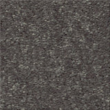 STAINMASTER Essentials Blue Diamonds II 12-ft Iron Textured Carpet Sample (Interior)