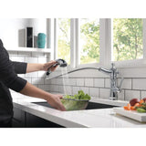 Delta Cassidy Arctic Stainless 1-Handle Deck-Mount Pull-Out Handle Kitchen Faucet