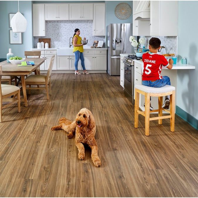 STAINMASTER PetProtect Bittersweet Hickory 12-mm T x 7-1/2-in W x 50-in L Waterproof Wood Plank Laminate Flooring (23.69-sq ft / Carton)