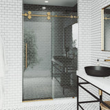Elan 48 to 52 in. x 74 in. Frameless Sliding Shower Door in Stainless Steel with Clear Glass and Handle - Super Arbor
