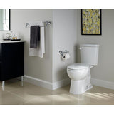 Delta Transitional 24-in Polished Chrome Wall Mount Grab Bar