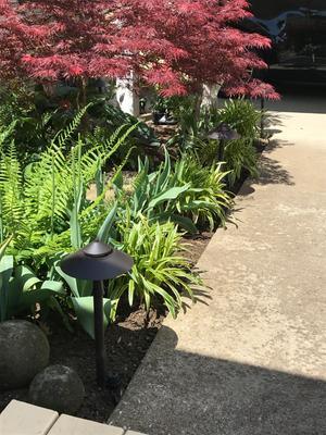 Portfolio 7-Watt Specialty Textured Bronze Low Voltage LED Path Light - Super Arbor