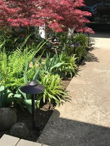 Portfolio 7-Watt Specialty Textured Bronze Low Voltage LED Path Light - Super Arbor