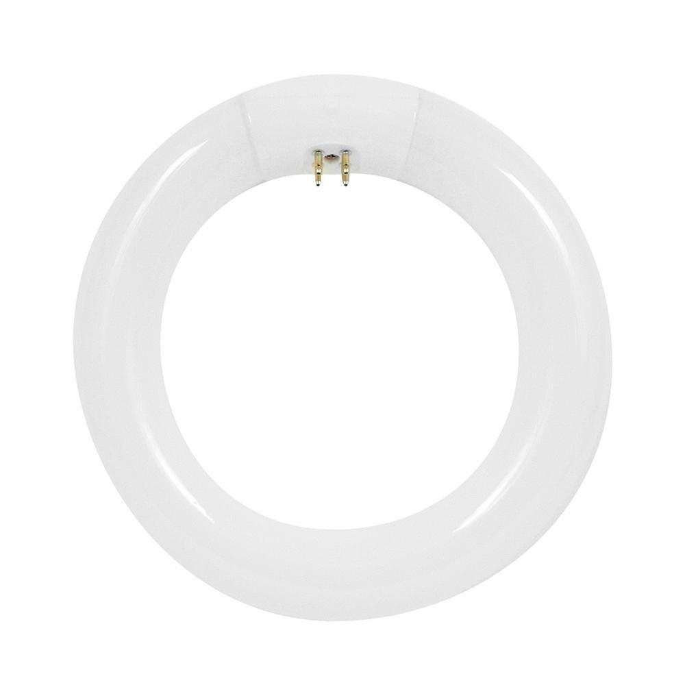 120-Watt Equivalent Circline T9 Non-Dimmable 4-Pin Base Compact Fluorescent CFL 9 in Light Bulb, Cool White 4100K - Super Arbor