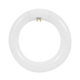 120-Watt Equivalent Circline T9 Non-Dimmable 4-Pin Base Compact Fluorescent CFL 9 in Light Bulb, Cool White 4100K - Super Arbor