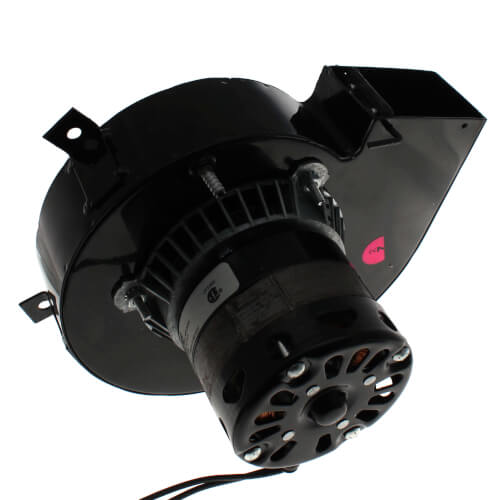 Packard 82052 inducer motor - detail view (Voltage: 115V; Horse Power: 1/45)