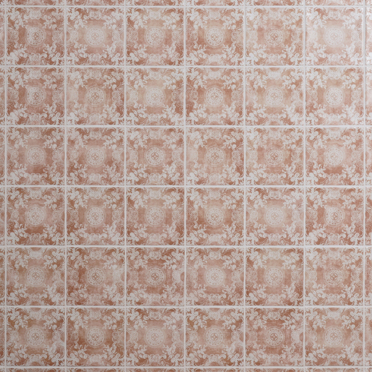 Artmore Tile Paula Purroy Reverie Cala Terracotta 5-in x 5-in Matte Ceramic Encaustic Wall Tile product image