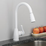 Project Source Stainless Steel 1-Handle Deck Mount Pull-Down Handle Kitchen Faucet (Deck Plate Included) - Super Arbor