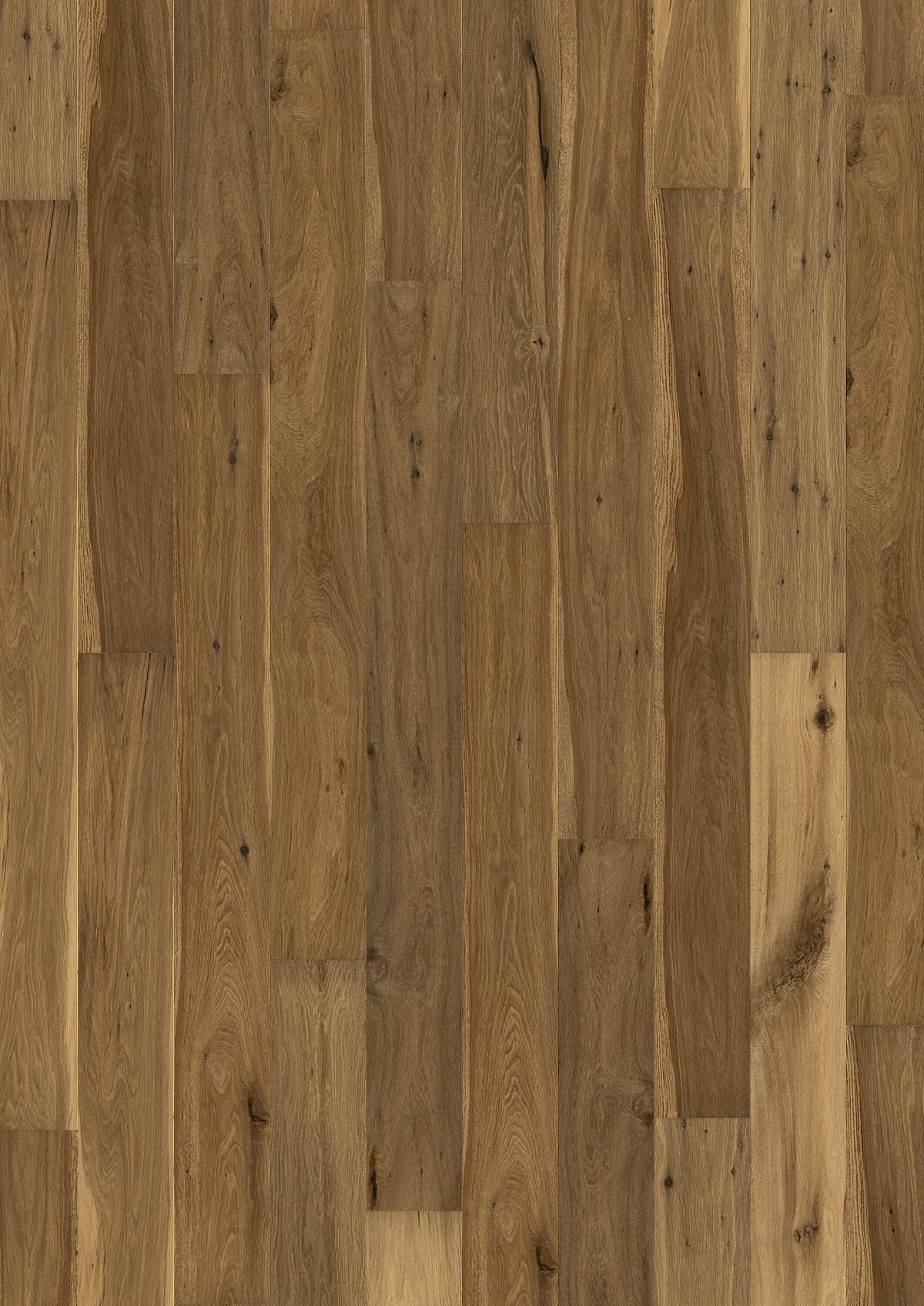 Solidfloor Oak Nevada hardwood flooring — primary plank view