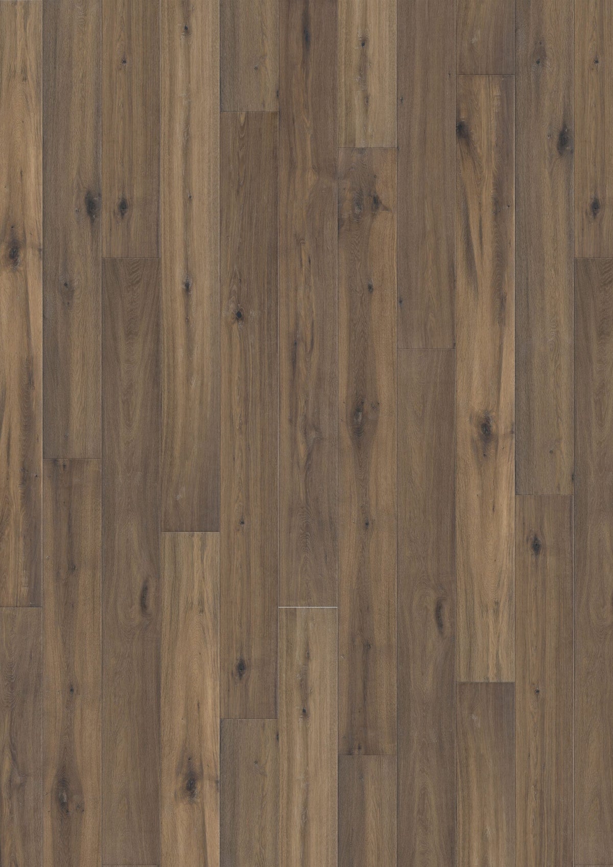 Solidfloor Oak K2 hardwood flooring — primary plank view