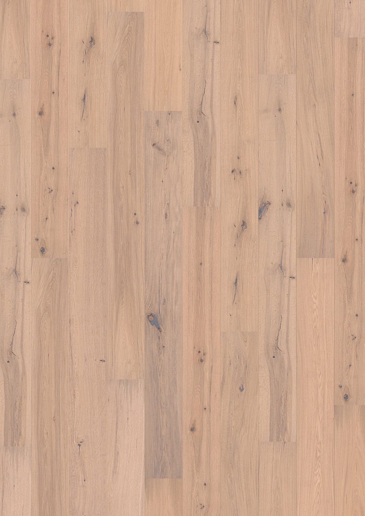 Solidfloor Oak Arctic hardwood flooring — primary plank view