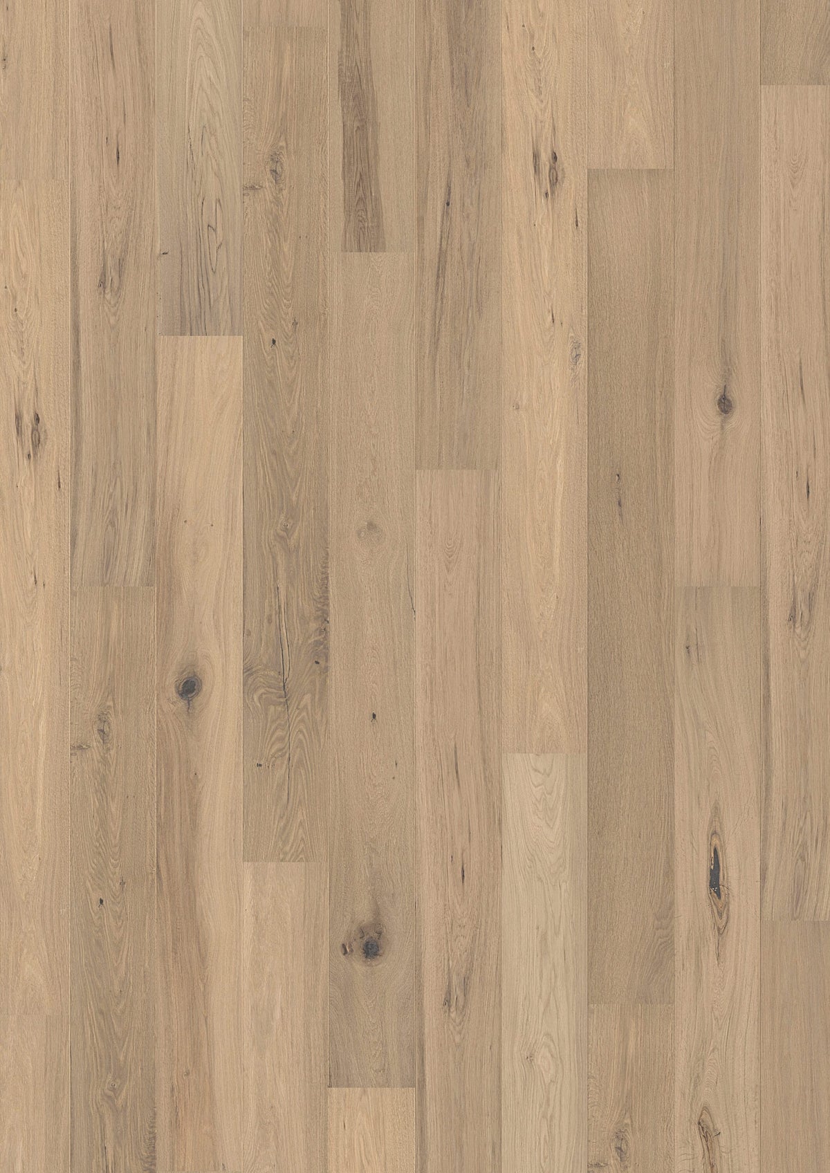 Solidfloor Oak Alaska hardwood flooring — primary plank view