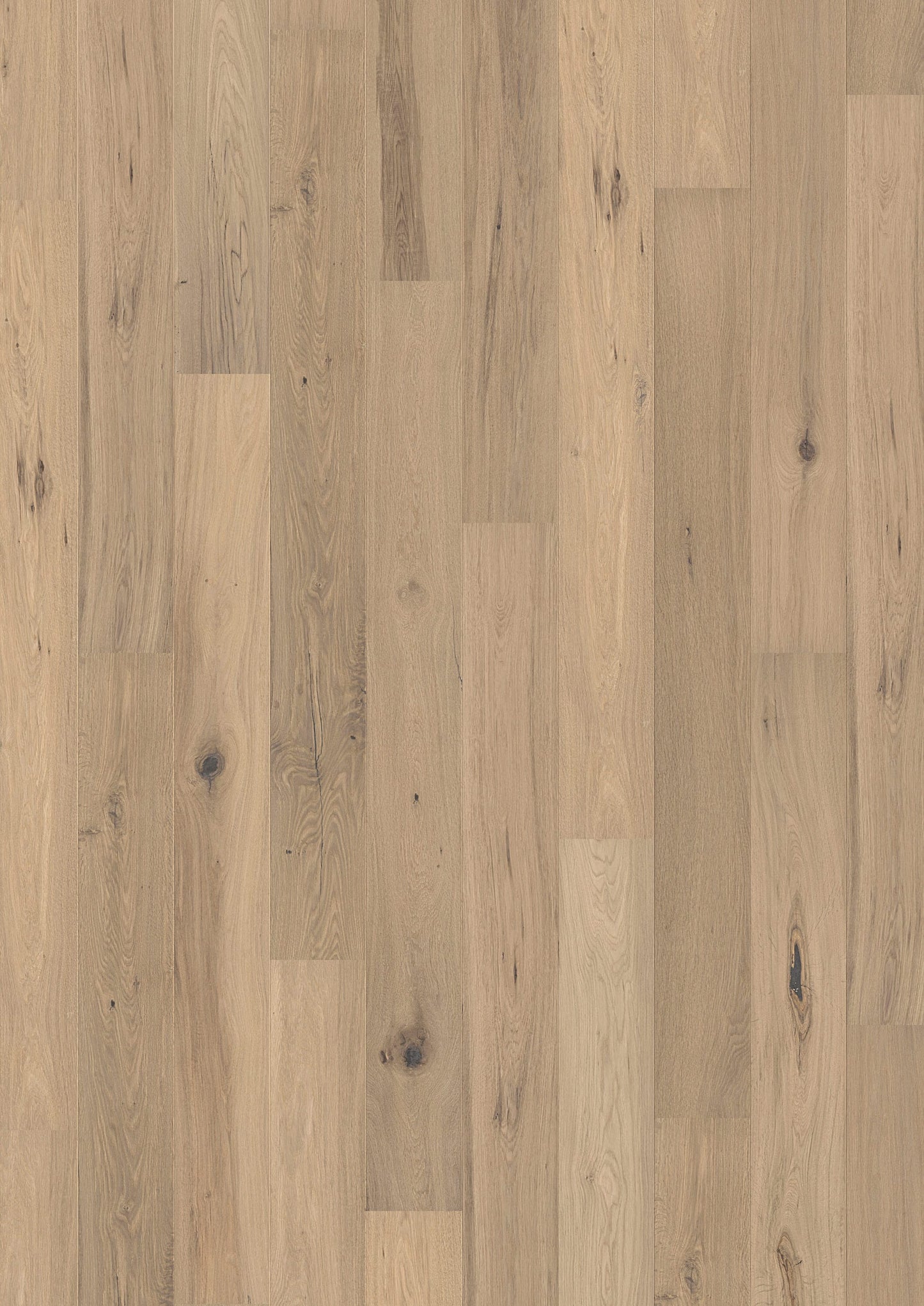 Solidfloor Oak Alaska hardwood flooring — primary plank view