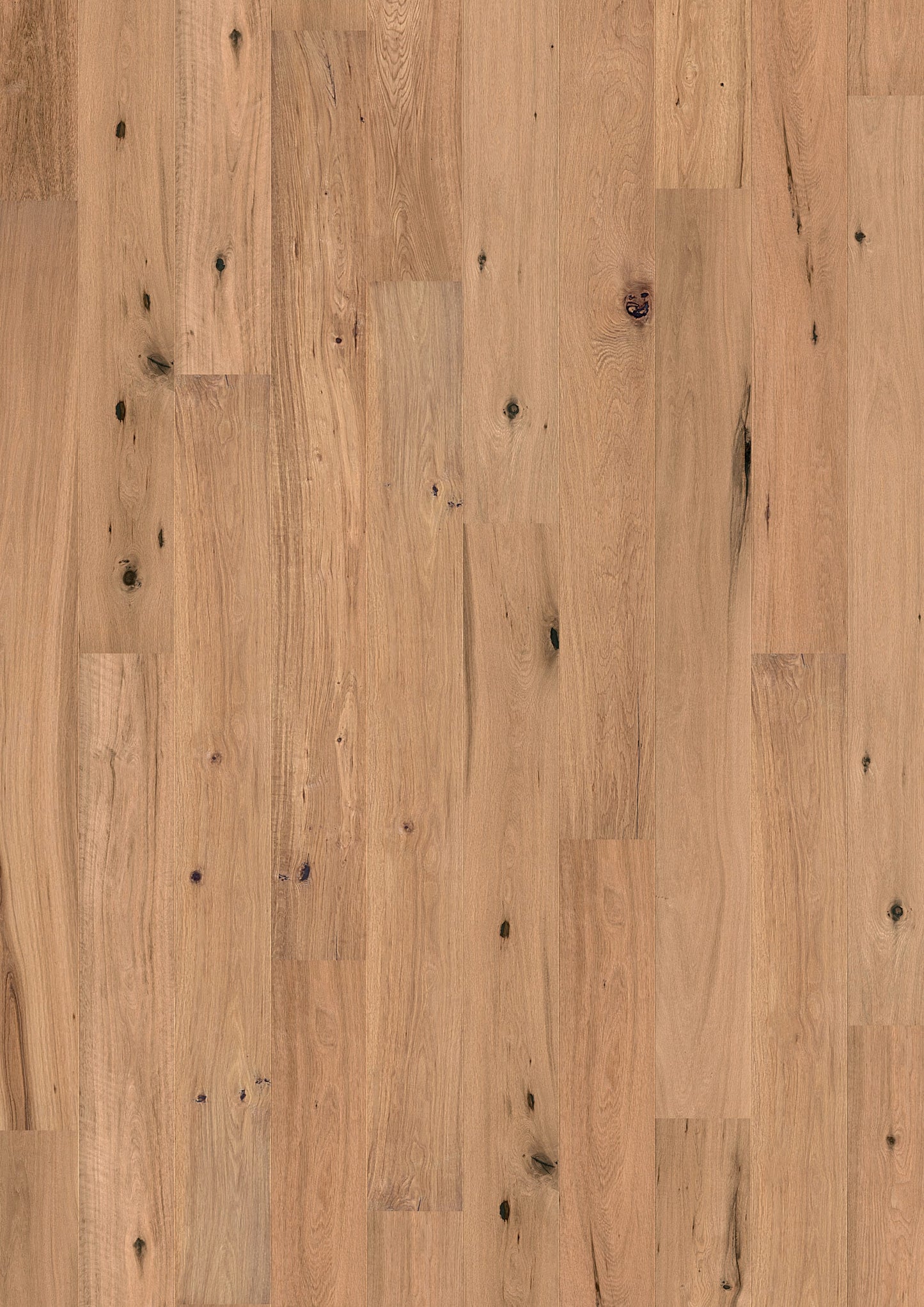 Solidfloor Oak Sahara hardwood flooring — primary plank view