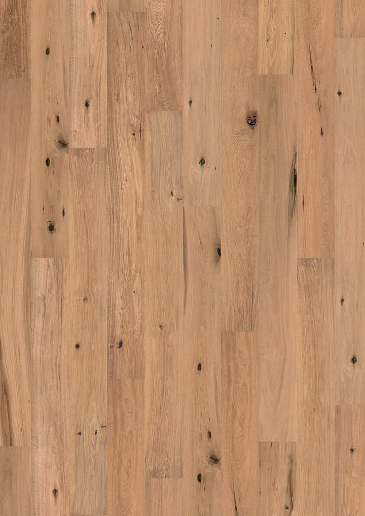 Solidfloor Oak Sahara hardwood flooring — primary plank view
