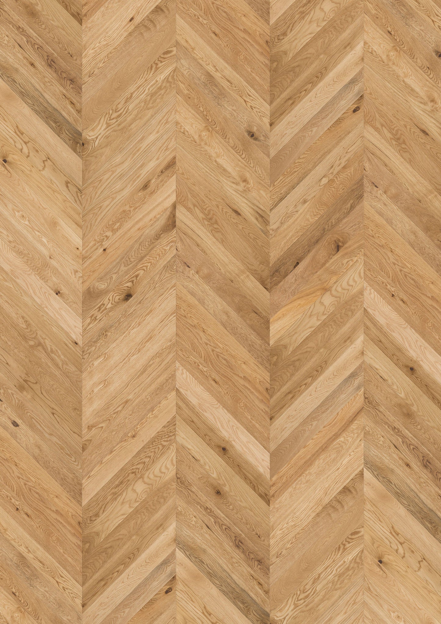 Solidfloor Oak Windsor Chevron hardwood flooring — primary plank view