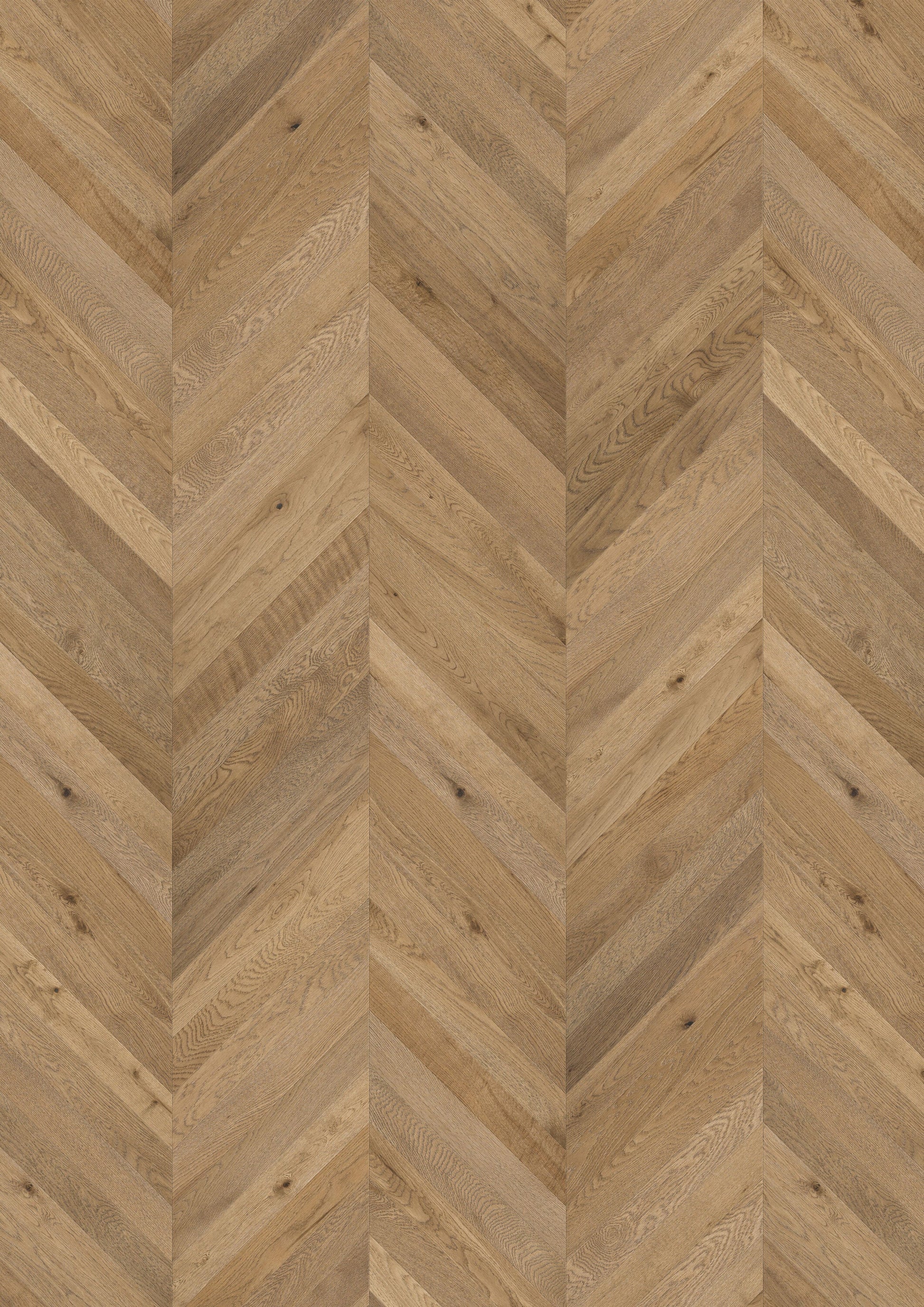 Solidfloor Oak Chantilly Chevron hardwood flooring — primary plank view