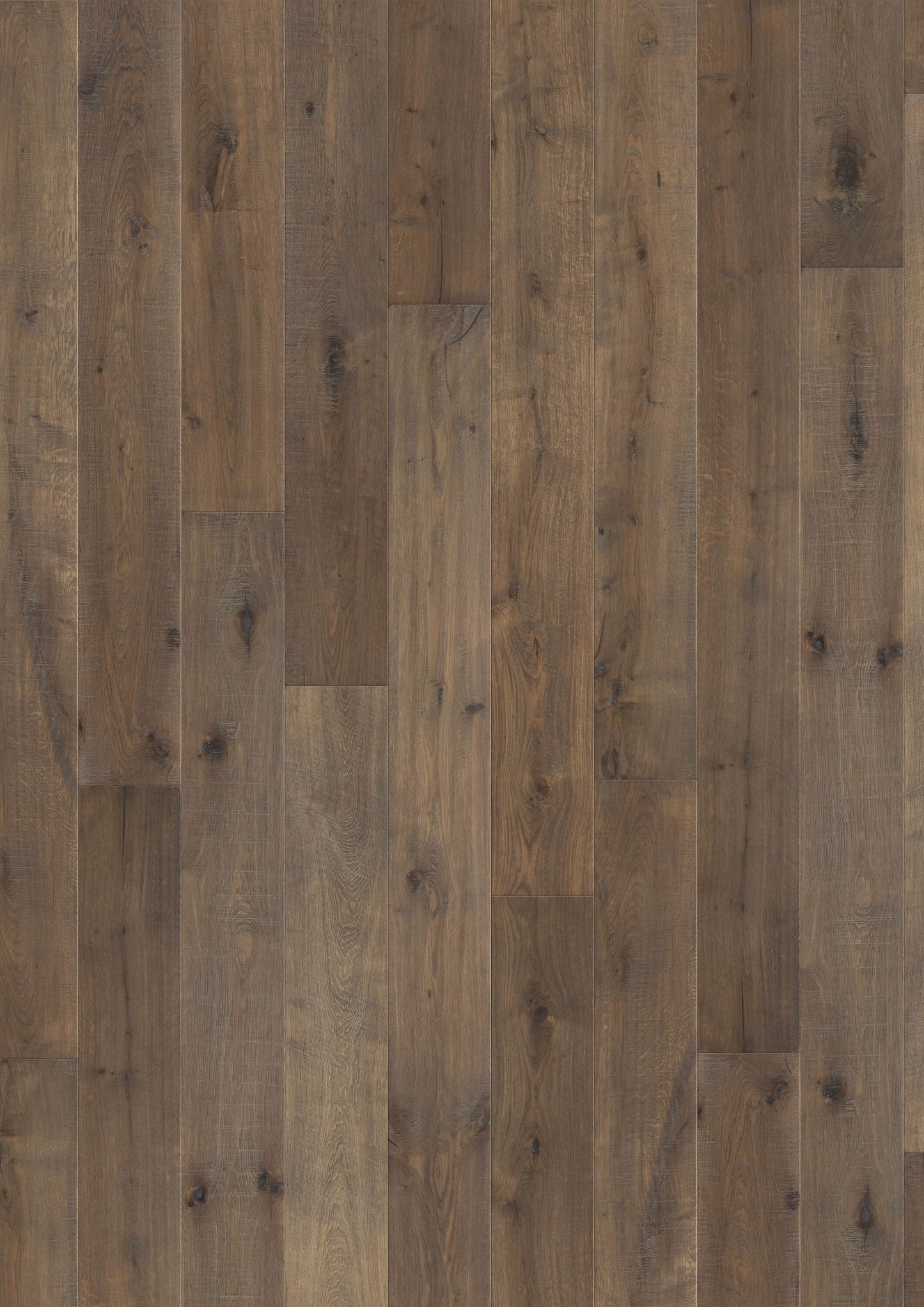 Solidfloor Oak Kentucky hardwood flooring — primary plank view