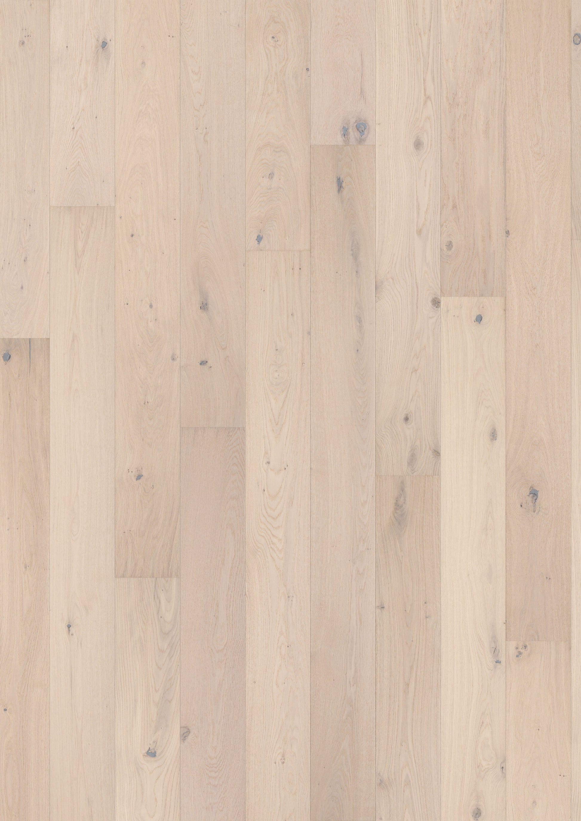 Solidfloor Oak Savannah White hardwood flooring — primary plank view