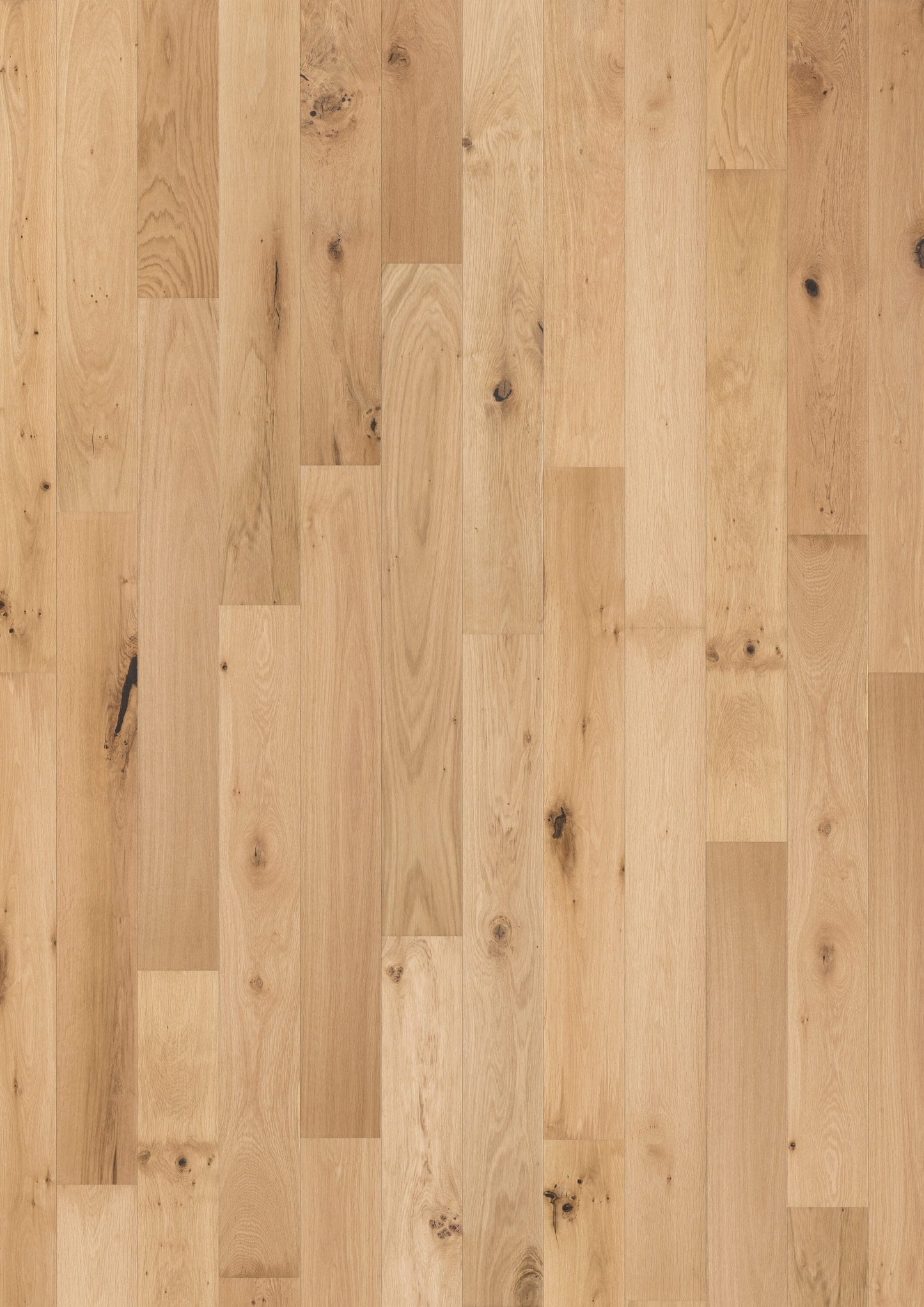 Solidfloor Oak Prairie Natural hardwood flooring — primary plank view