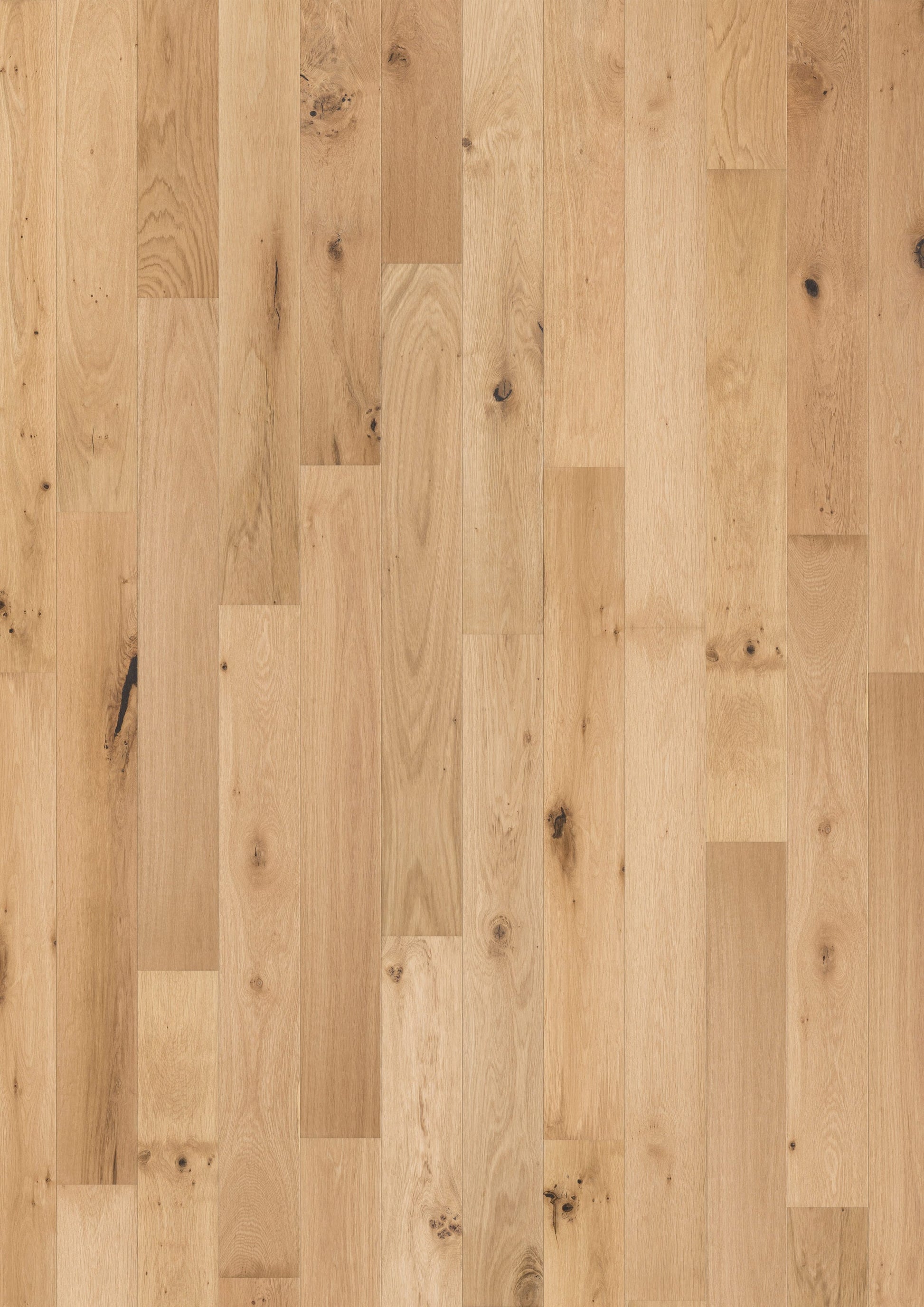 Solidfloor Oak Prairie Natural hardwood flooring — primary plank view