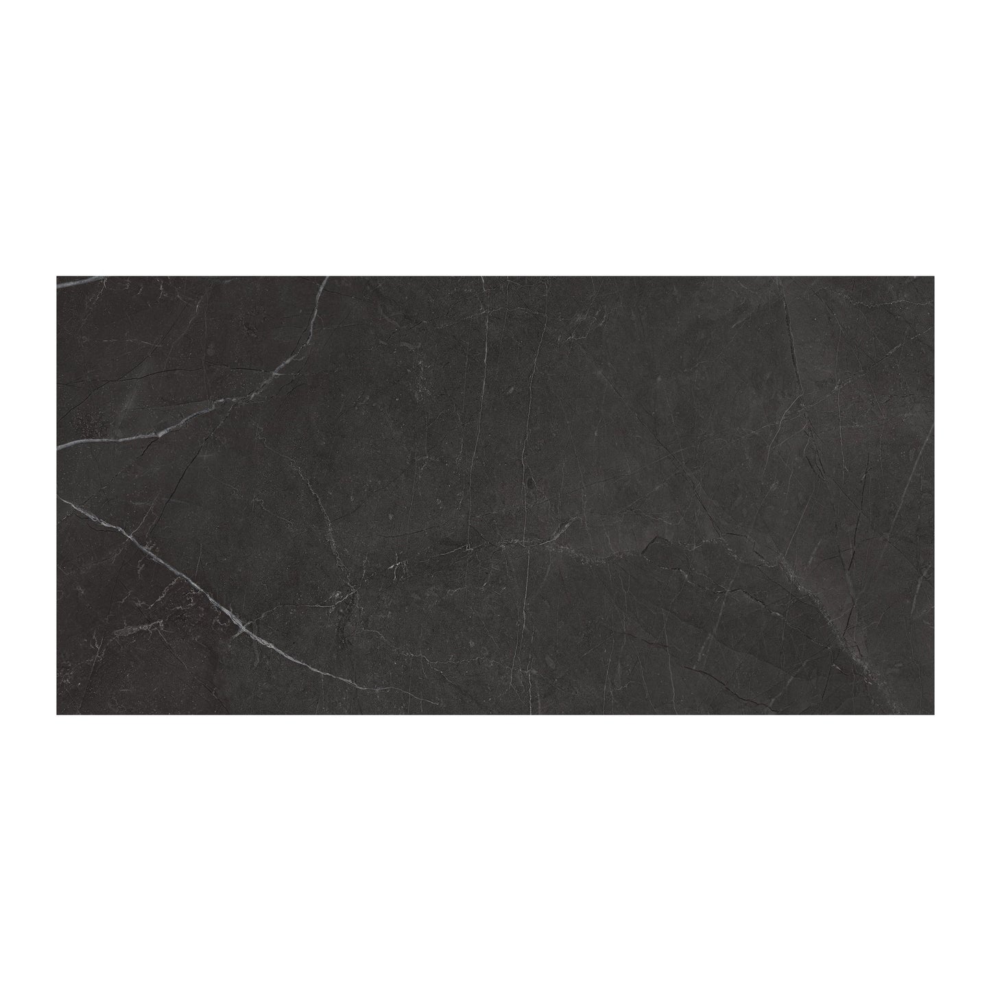 Satori La Marca Nero Venato 12-in x 24-in Honed Porcelain Marble look Floor and Wall Tile product image