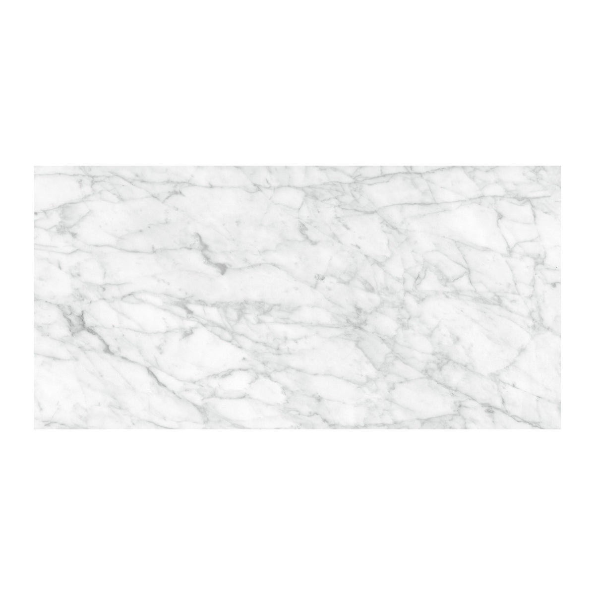Satori La Marca Carrara Gioia 12-in x 24-in Honed Porcelain Marble look Floor and Wall Tile product image