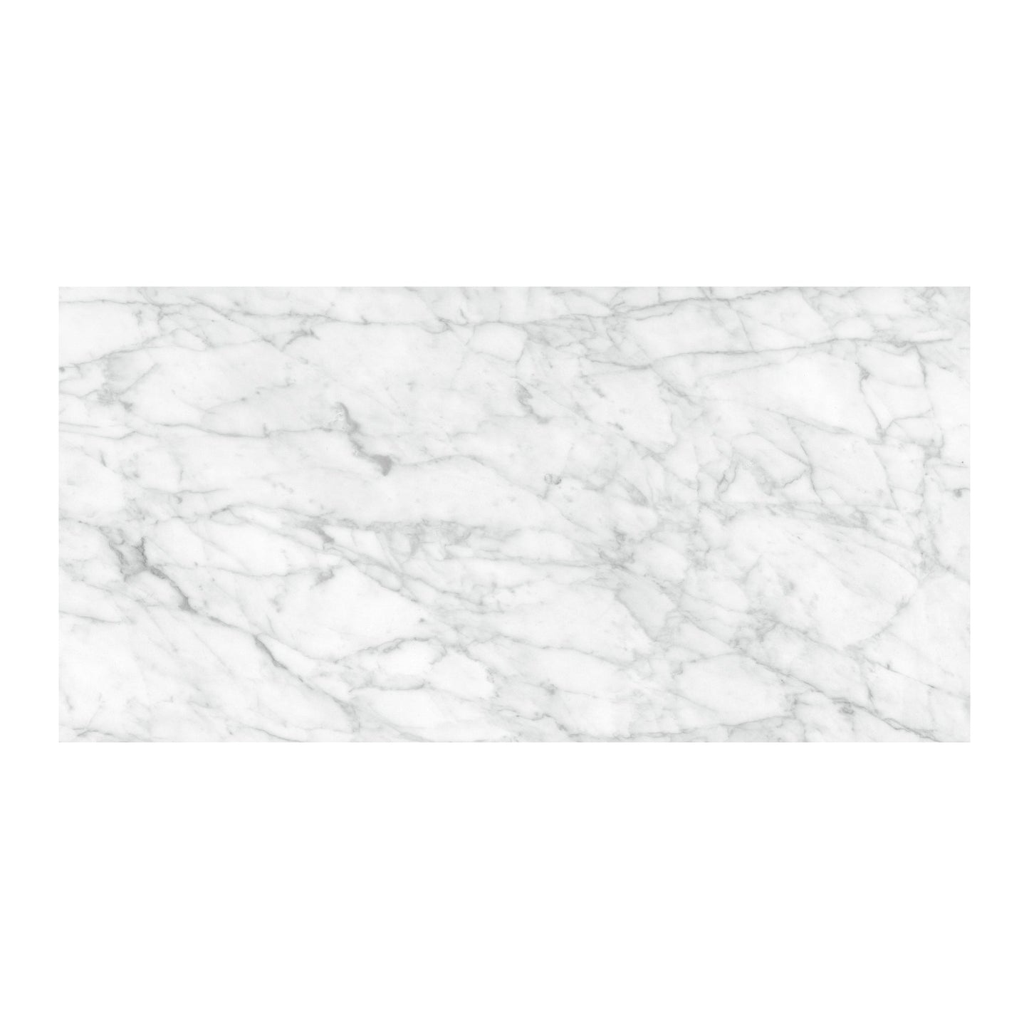 Satori La Marca Carrara Gioia 12-in x 24-in Honed Porcelain Marble look Floor and Wall Tile product image