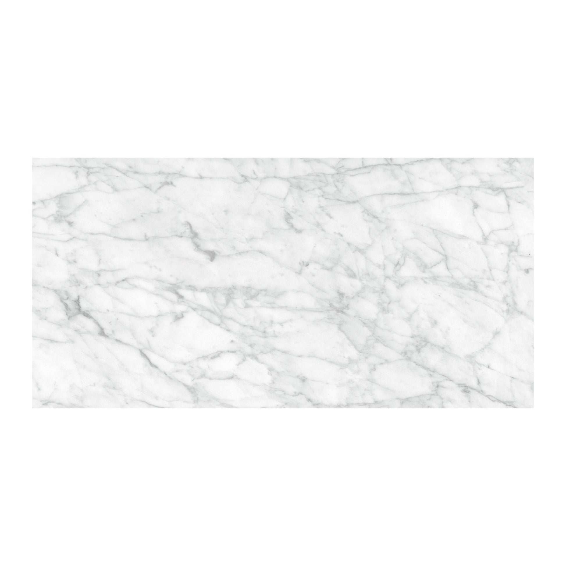 Satori La Marca Carrara Gioia 12-in x 24-in Honed Porcelain Marble look Floor and Wall Tile product image
