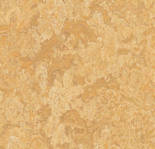 Marmoleum Click CinchLoc