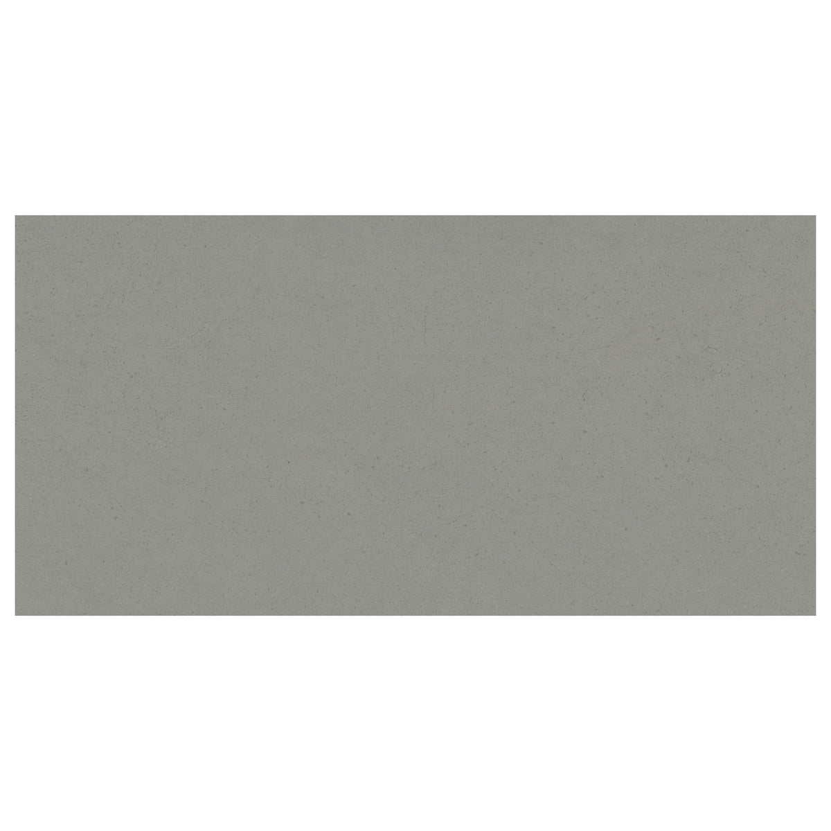 Giorbello Urban Fern Gray 24-in x 48-in Matte Porcelain Cement look Floor and Wall Tile product image